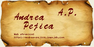 Andrea Pejica vizit kartica